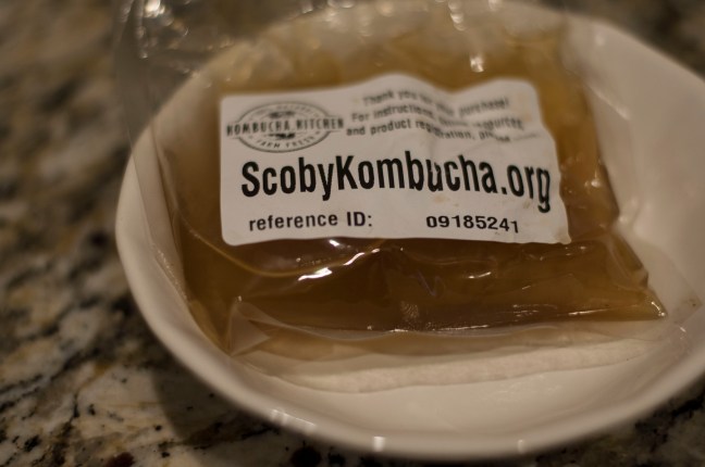 newscoby